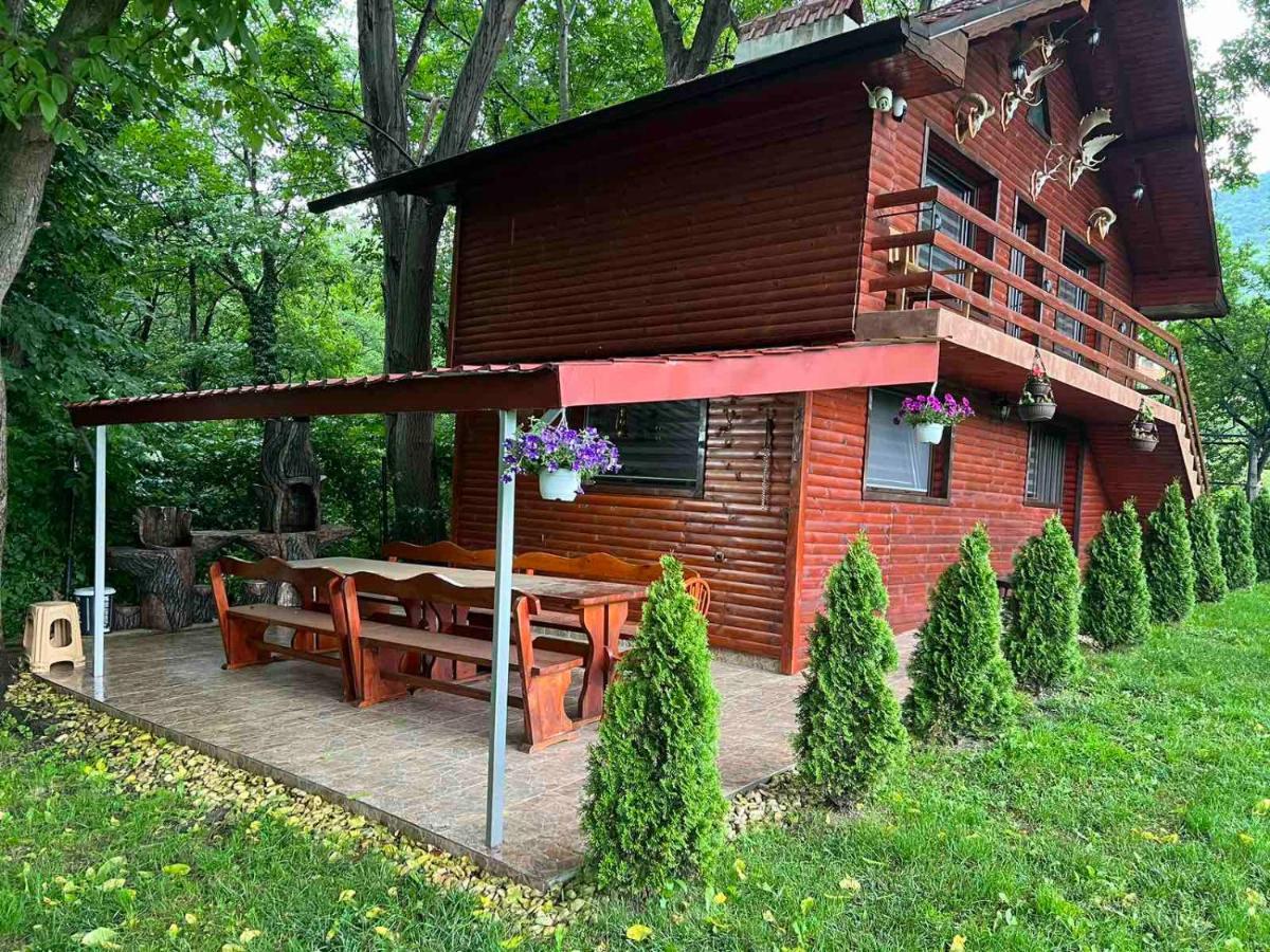 Вила Орехите Dupnița Exterior foto